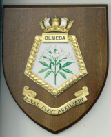 ROYAL FLEET AUXILIARY Wall Shield - Any Ship